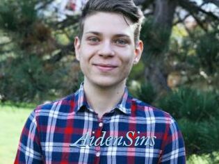AidenSins