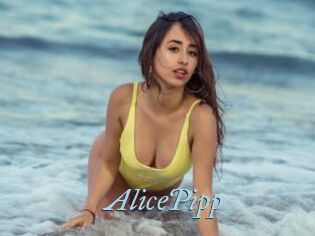 AlicePipp