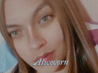 Alicecorn