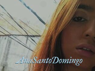 AnaSantoDomingo