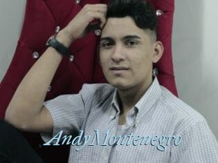 AndyMontenegro