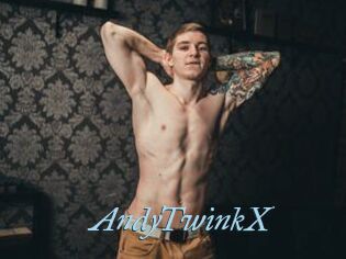 AndyTwinkX