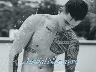 AnibalNavarro