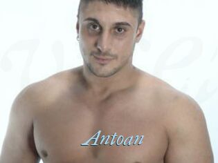 Antoan