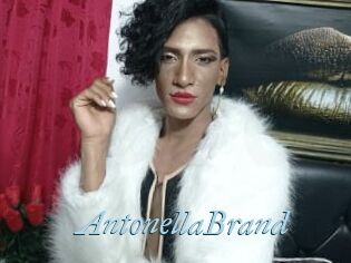AntonellaBrand