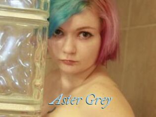 Aster_Grey