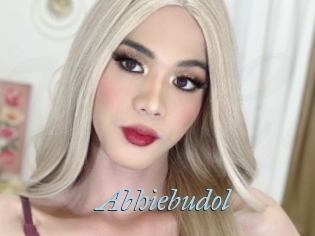 Abhiebudol