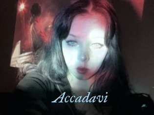 Accadavi