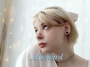 Alicebird