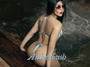 Amberbush