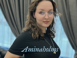 Aminaholms