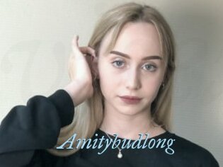 Amitybudlong