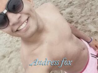 Andress_fox