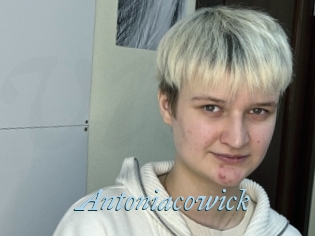 Antoniacowick