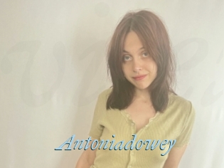Antoniadowey
