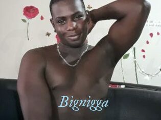 Bignigga