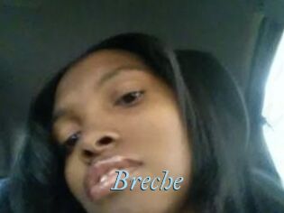 Breche