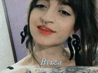 Briza