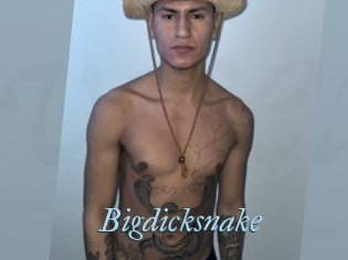 Bigdicksnake