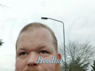 Boedha