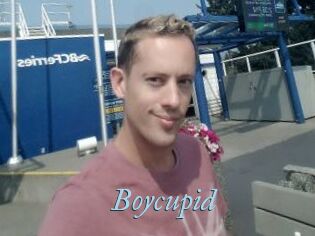Boycupid