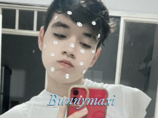 Bunnymaxi