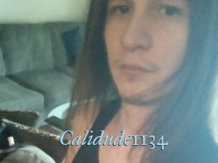 Calidude1134