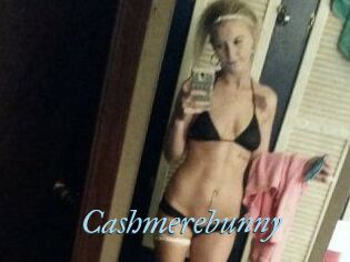 Cashmerebunny