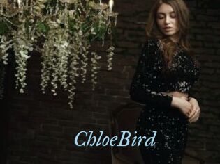 ChloeBird
