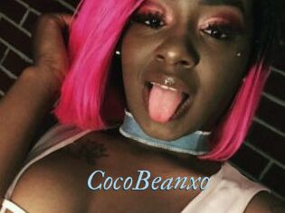 CocoBeanxo