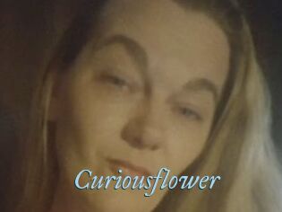 Curiousflower