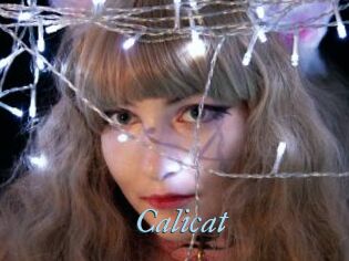 Calicat