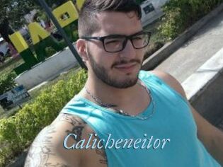 Calicheneitor