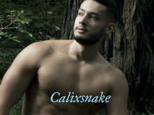 Calixsnake