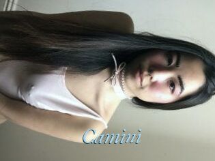 Camini