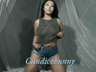 Candicebunny