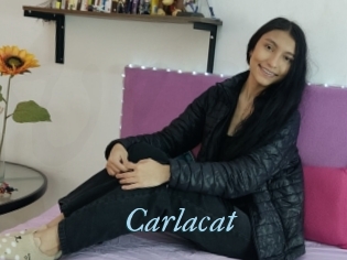 Carlacat
