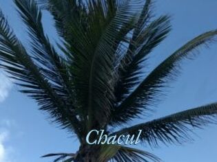 Chacul