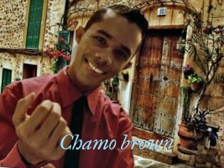 Chamo_brown