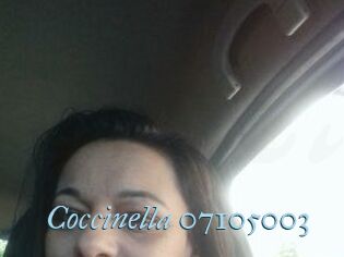 Coccinella-07105003