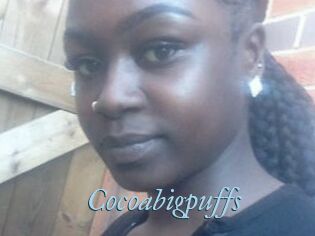 Cocoabigpuffs