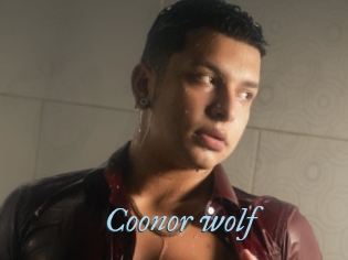 Coonor_wolf