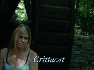 Crittacat