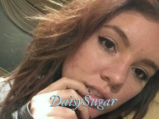 Daisy_Sugar