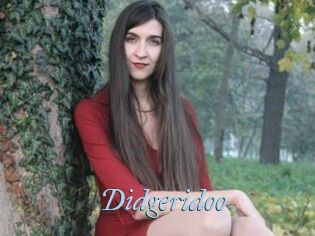 Didgeridoo