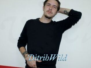 DitrihWild