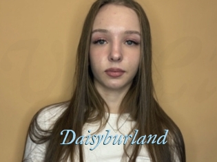 Daisyburland