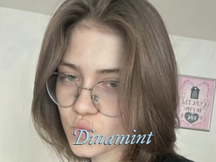 Dinamint