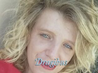 Dragibus