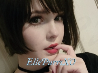 EllePurrsXO